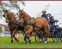 2POSIEUX 0496